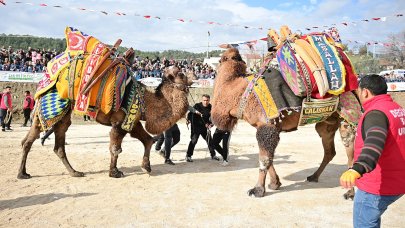 Kumluca’da Geleneksel Deve Gösterisi nefes kesti