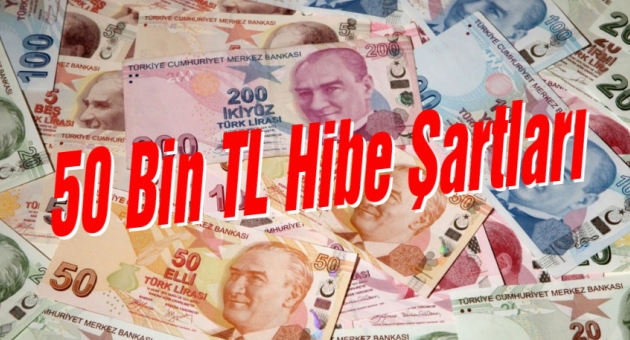 Hibe Şartları, Nasıl Alınır?
