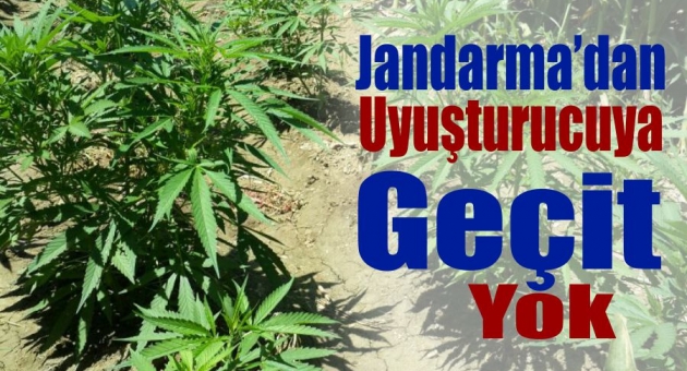 Jandarmadan Uyuşturucuya Geçit Yok