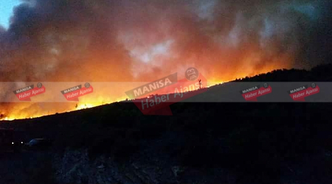 Bayındır'da  çıkan yangın hızla yayılıyor