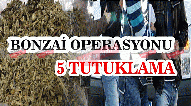 Manisa'da bonzai operasyonu: 5 tutuklama