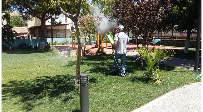 Manisa'da haşereyle mücadele hız kesmiyor