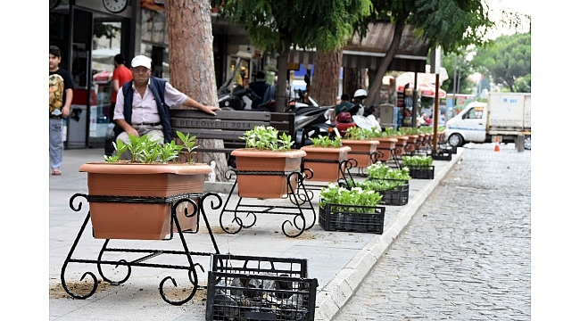 Salihli'de Sevgi Yolu çiçeklerle donatıldı