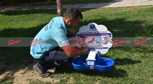 Yunusemre hayvanları unutmuyor