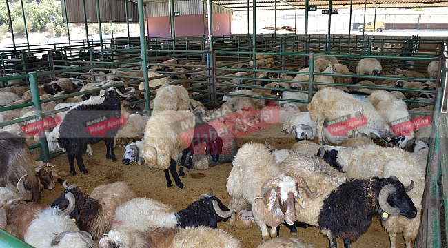 Alıcı da satıcı da satışlardan memnun