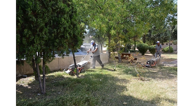 Laleli'de park ve bahçeler düzenleniyor