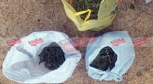 Manisa'da uyuşturucu operasyonu