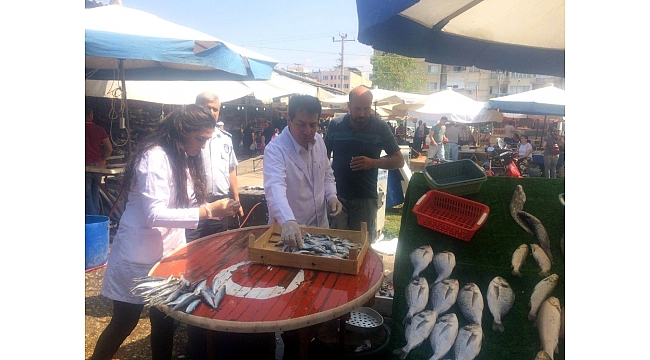 Salihli'de balık tezgahları denetlendi