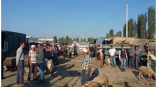 Selendi'de kurbanlıklar pazardaki yerini aldı