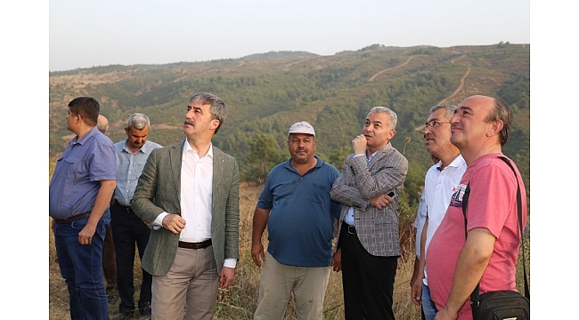 Başkan Şirin'den ormanlık alanda çıkan yangına yakın takip
