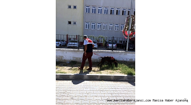 Jandarmadan 'Okul güvenliği' uygulaması