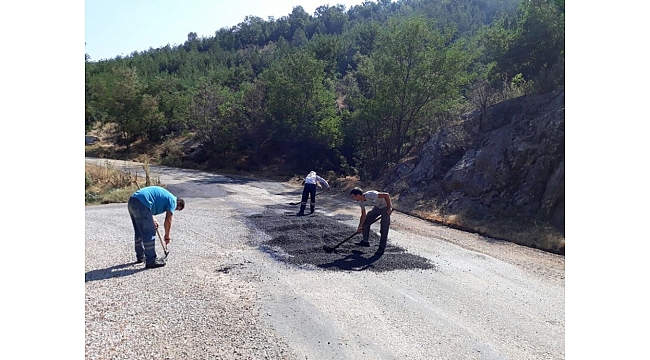 Selendi'de seralarda üretim başlayacak