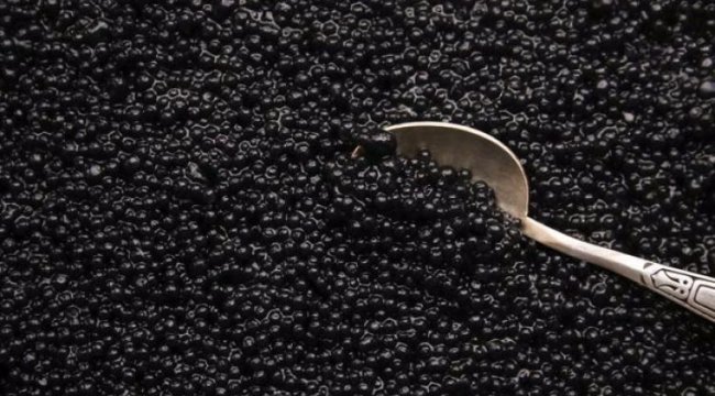 Sivilceleri anında yok ediyor!