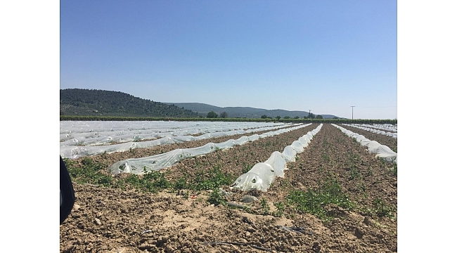 Tarımsal sulama tesisleri bakım onarımdan geçti