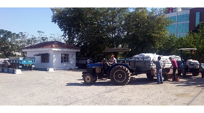TARİŞ üzüm alımlarına başladı
