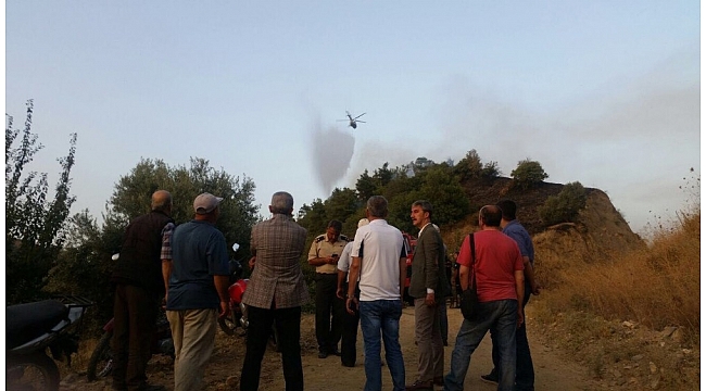 Turgutlu'da orman yangını