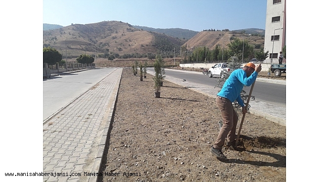 Alaşehir'de park ve caddeler yeşillendiriliyor