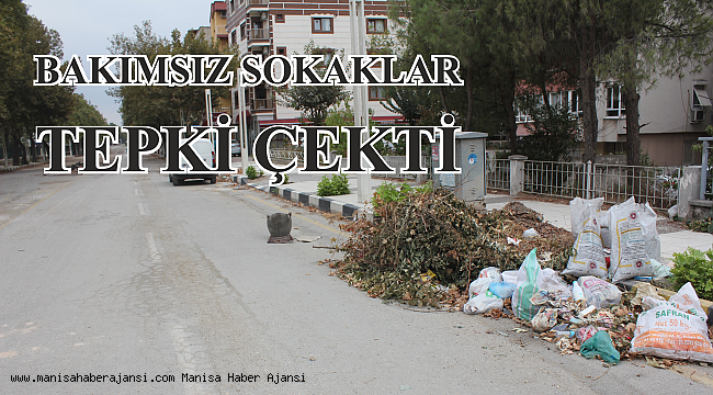 Bakımsız sokaklar tepki çekti