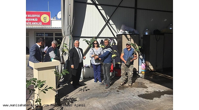 Ceviz üreticilerine fidan desteği