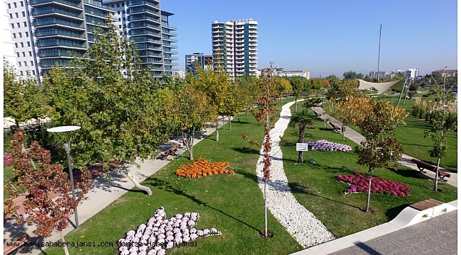 Kasımpatılar Manisa'yı renklendirdi