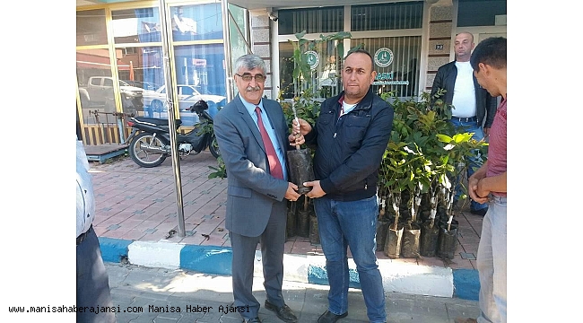 Köprübaşılı üreticilere ceviz fidanı desteği