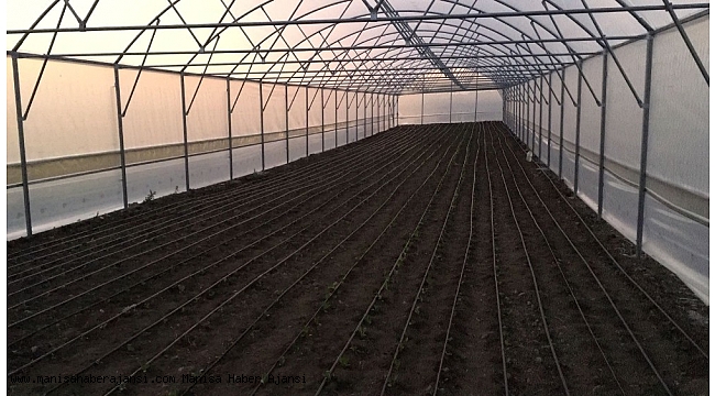Manisalı çiftçiler desteklerle kurdukları serada üretim yapıyor