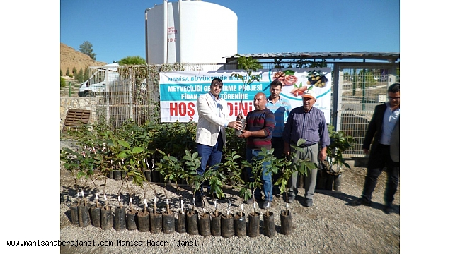 Manisalı üreticilere fidan desteği