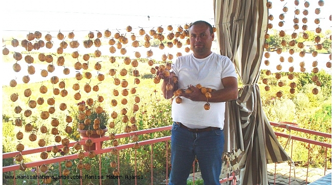 Sarıgöl'de cennet elmasının kurutulmasına başlandı