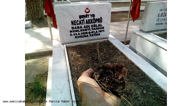 Şehit mezarları arasında vatan toprağıyla bağ kuruldu