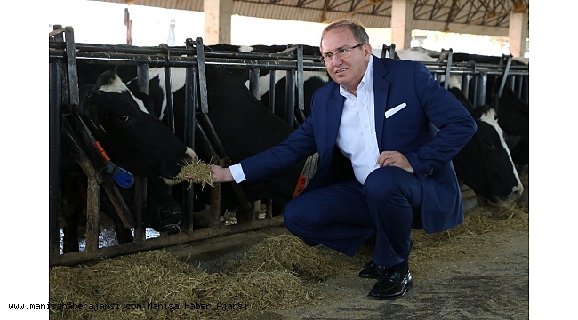 Sütler el değmeden sağılarak şişeleniyor