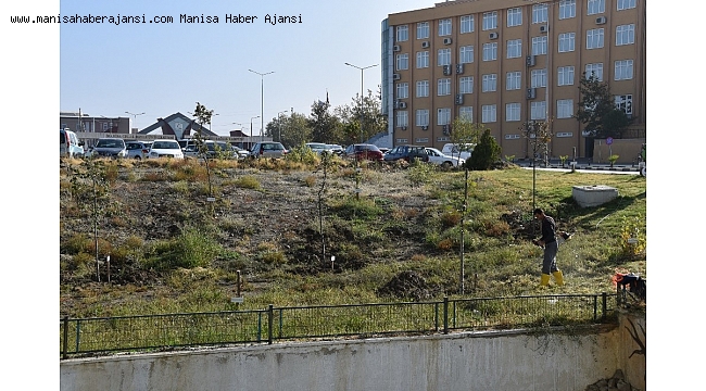 Yunusemre Belediyesinden MCBÜ Tıp Fakültesi bahçesinde çalışma
