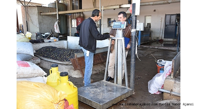 Alaşehir Zabıtasından zeytinyağı fabrikalarına denetim
