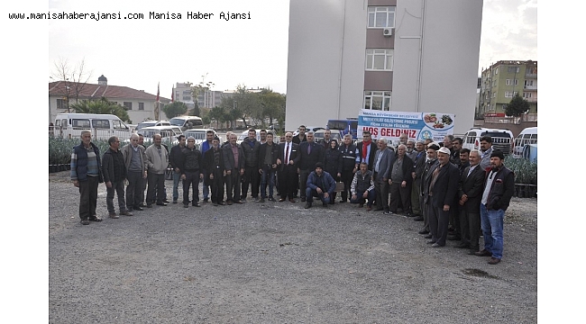 Kırkağaç'ta üreticiye 7 bin 170 zeytin fidanı