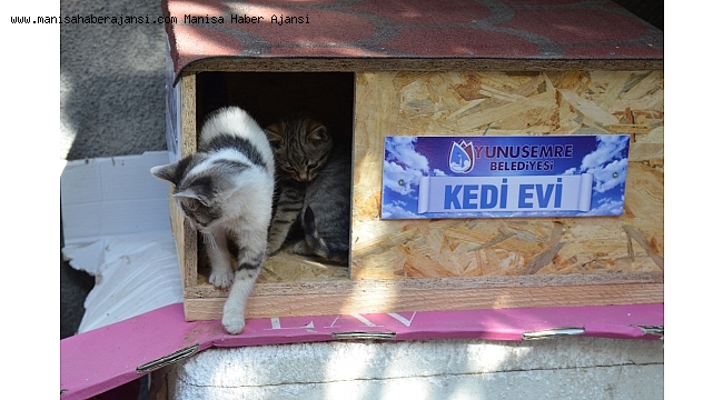 Yunusemre hayvanları da düşünüyor