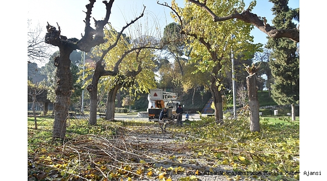 Salihli'de parklara kışlık bakım