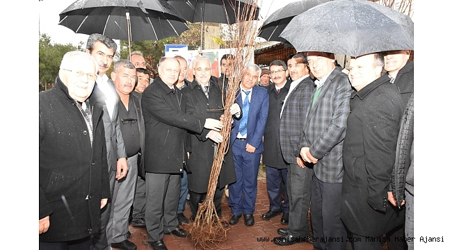 Şehzadeler'de 85 çiftçiye 7 bin fidan desteği