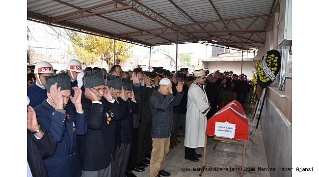 Zeytin ağacından düşen gazi hayatını kaybetti