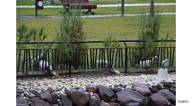 Manisa'da park içindeki derede oluşan köpükler tedirgin etti