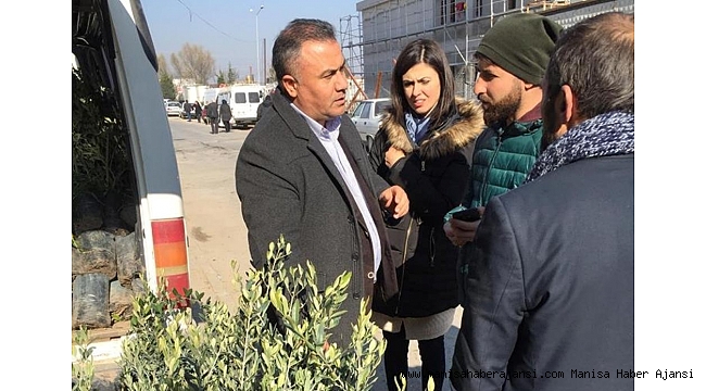 Salihli'de fidan satış yerleri denetlendi