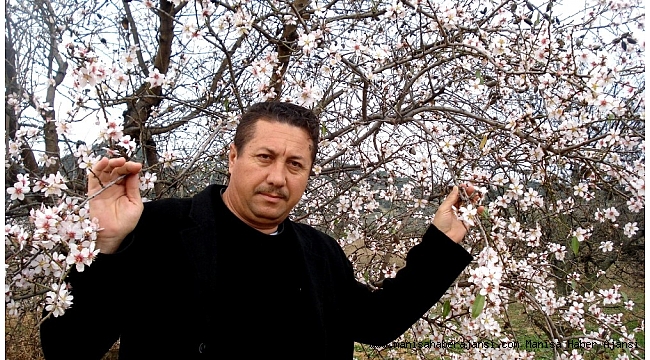 Sarıgöl'de şubat ayında bahar yaşanıyor