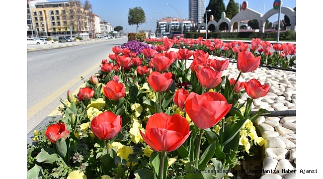 Alaşehir çiçeklerle renk cümbüşüne büründü