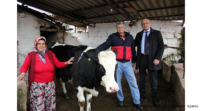 Manisalı çiftçi üç düvesinden birini Mehmetçiğe bağışladı