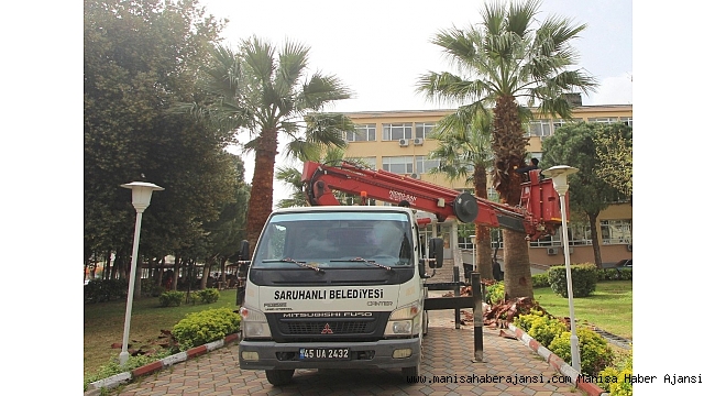 Saruhanlı Belediyesi'nden ağaçlara bahar bakımı