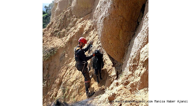 Uçurumda mahsur kalan 2 keçi kurtarıldı