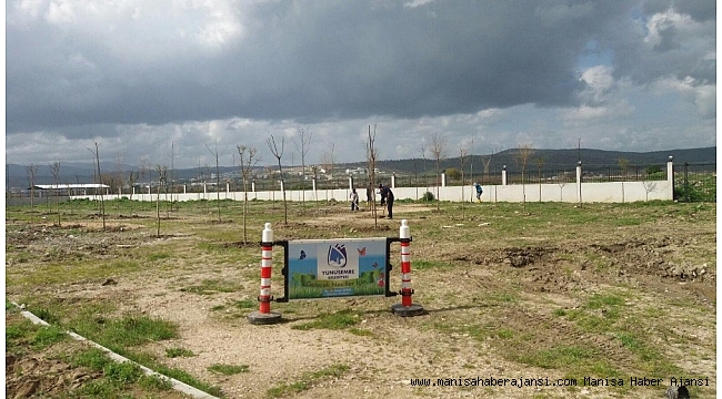 Yunusemre&#039;de ağaçlandırma çalışmaları sürüyor
