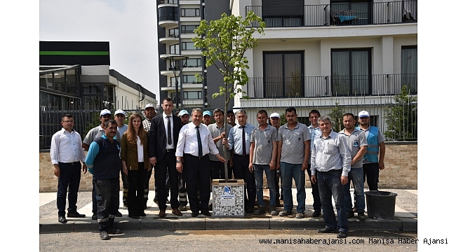 Bu sokak ıhlamur kokacak