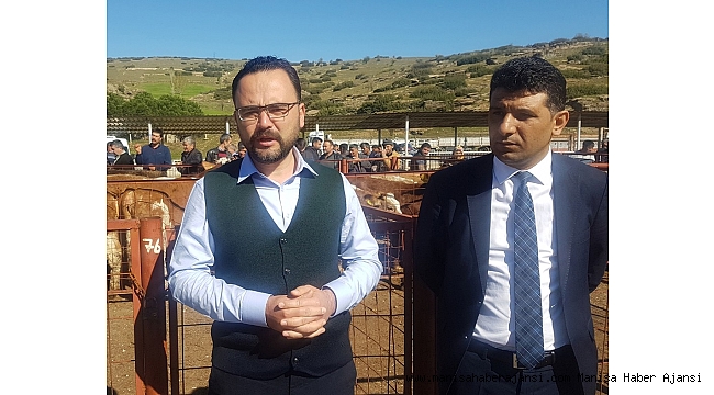 Hayvancılık desteklemeleri hesaplara yatıyor