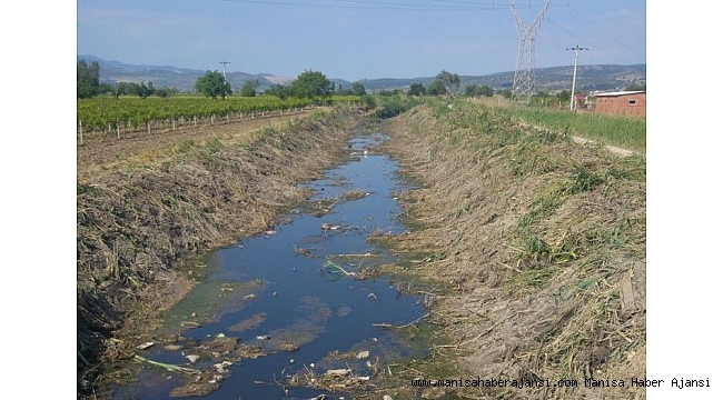 Muradiye'nin deresi temizlendi