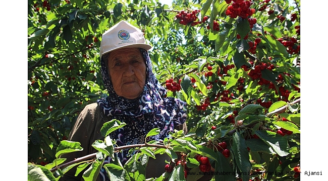 Çiftçinin beklentisi mazot ve gübre fiyatlarının düşmesi