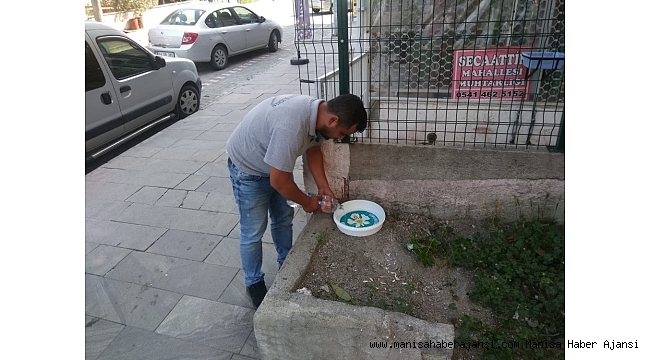 Büyükşehirden sokak hayvanları için su kapları